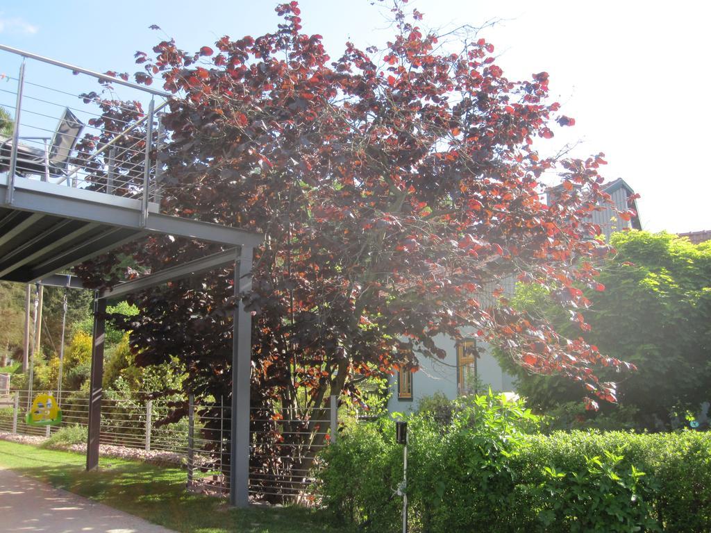 Apartment Haus Sembachtal Winterstein Dış mekan fotoğraf