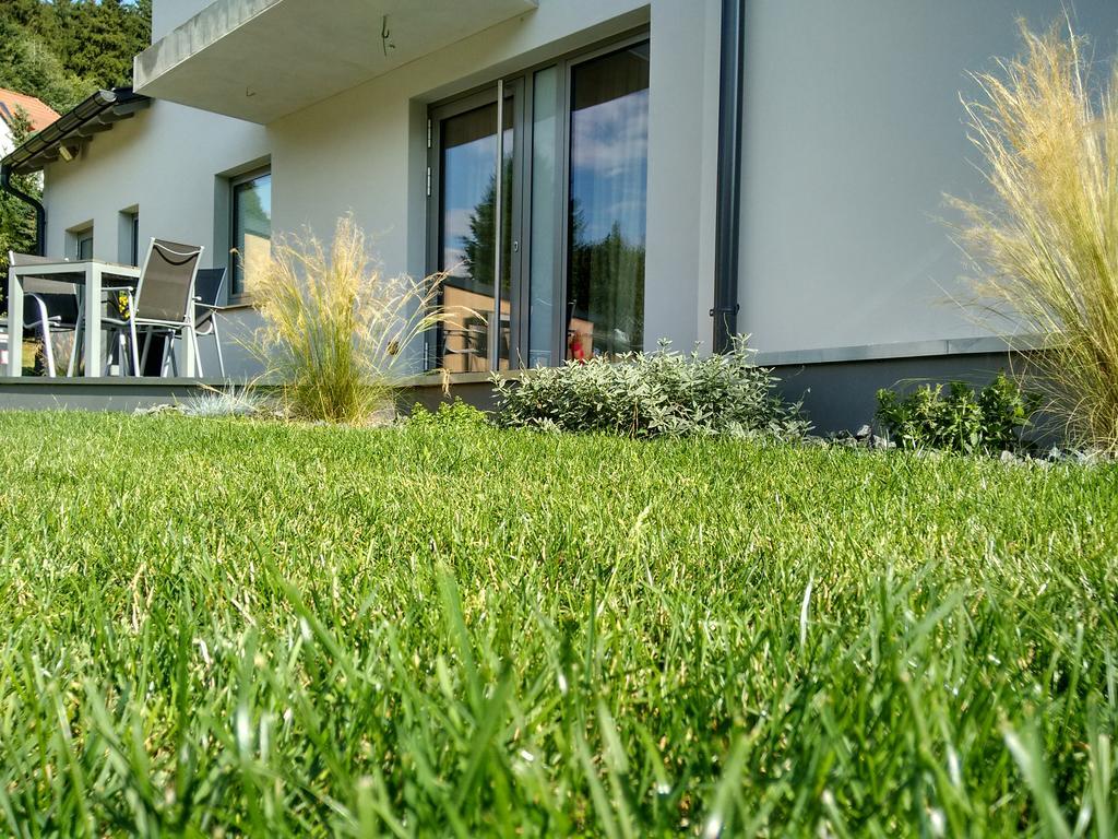 Apartment Haus Sembachtal Winterstein Dış mekan fotoğraf